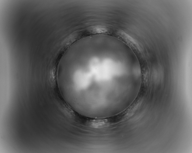 X0000096220373200801181455