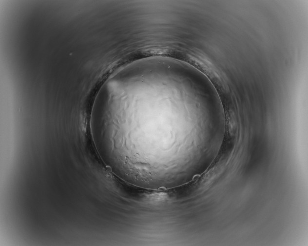 X0000096220374200801181455