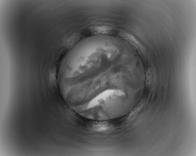 X0000096220377200801181455