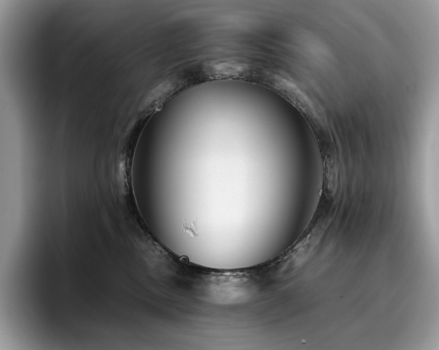 X0000096220378200801181455