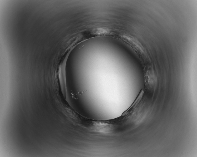 X0000096220380200801181455