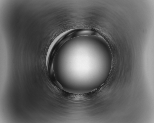 X0000096220384200801181455