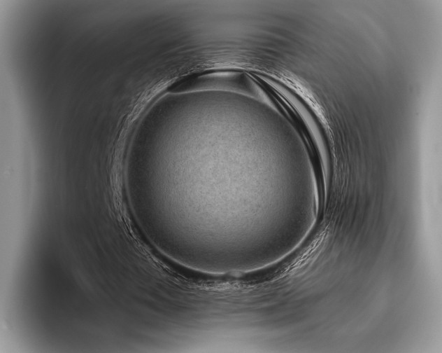 X0000096220385200801181455