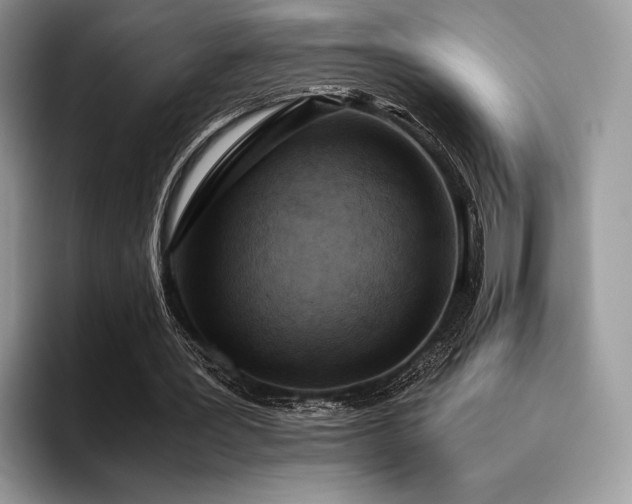 X0000096220387200801181455
