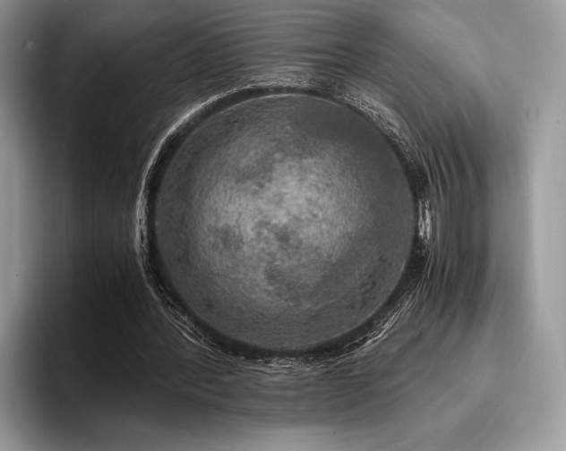 X0000096220388200801181455