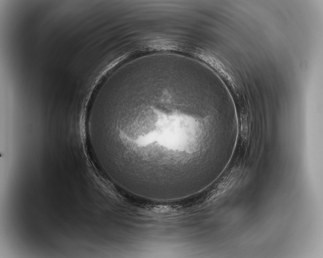 X0000096220390200801181455