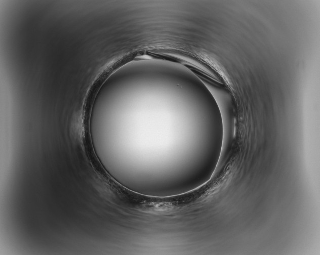 X0000096220395200801181455