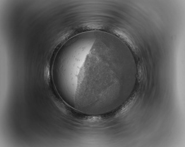 X0000096220398200801181455