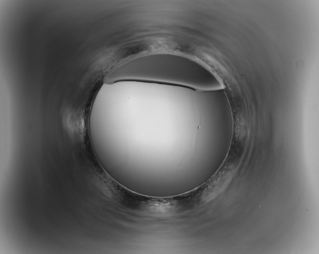 X0000096220405200801181454
