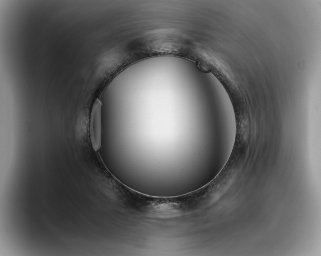 X0000096220407200801181454
