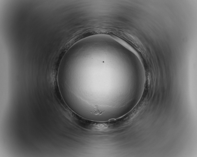 X0000096220409200801181454