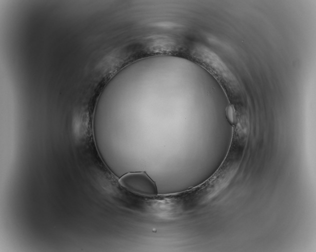 X0000096220411200801181454