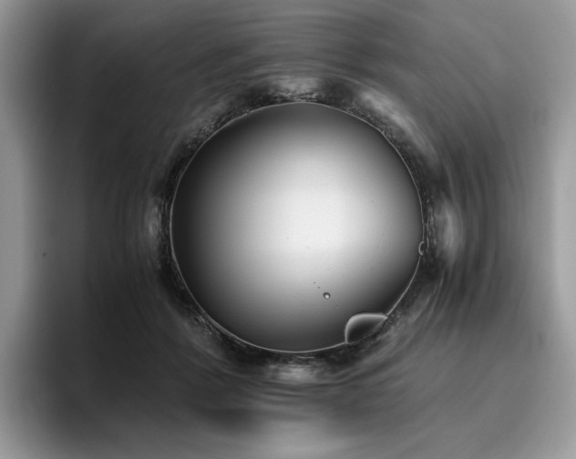X0000096220412200801181454
