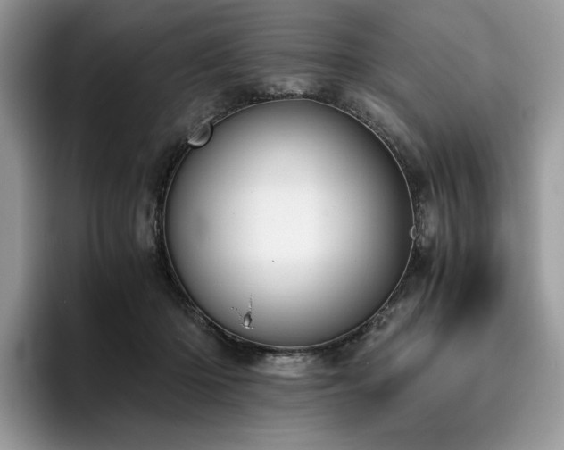 X0000096220414200801181454