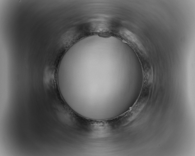 X0000096220415200801181454