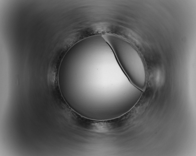 X0000096220417200801181454