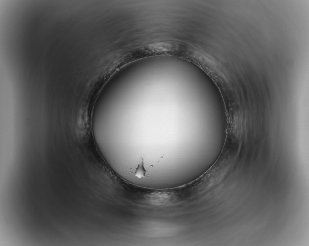 X0000096220418200801181454