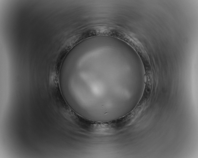 X0000096220419200801181454
