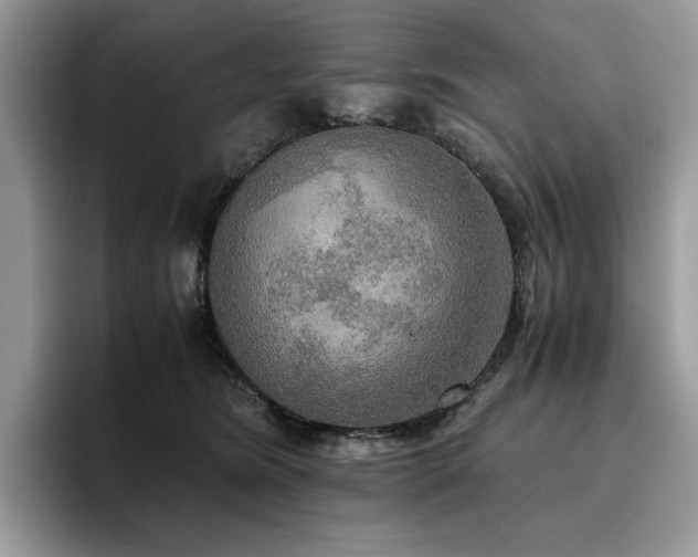 X0000096220420200801181454