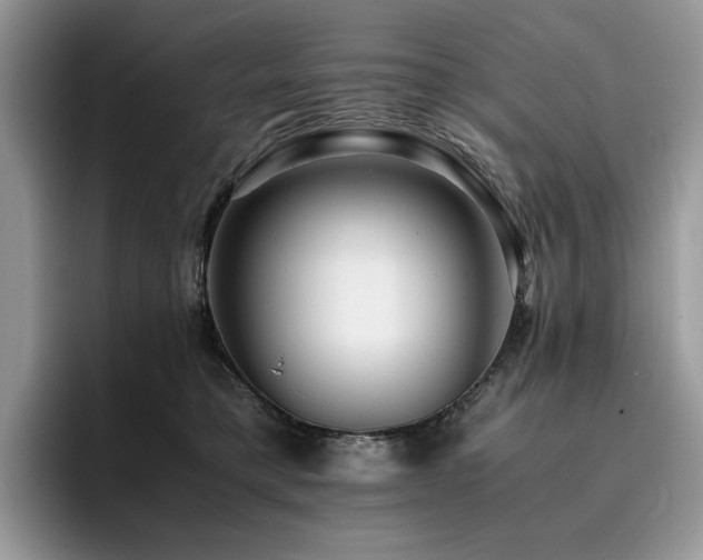 X0000096220421200801181454