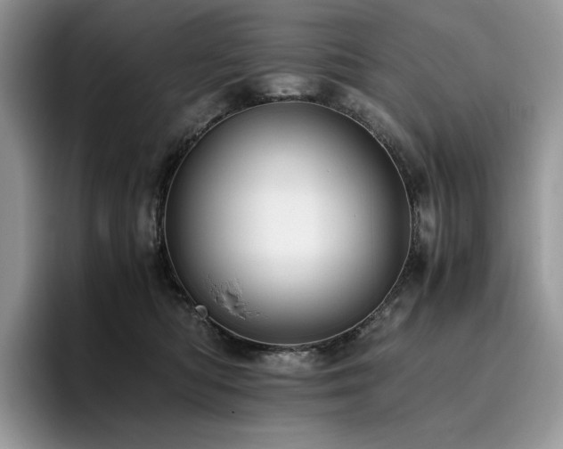 X0000096220422200801181454