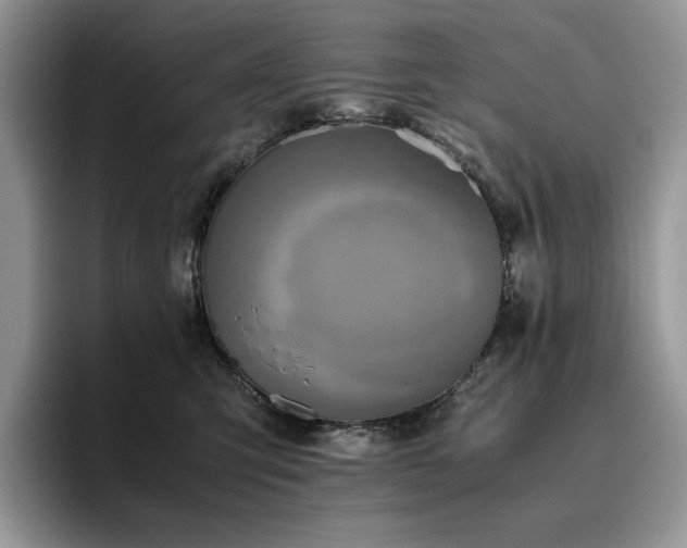 X0000096220423200801181454