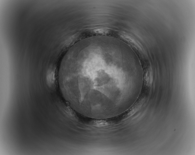 X0000096220424200801181454