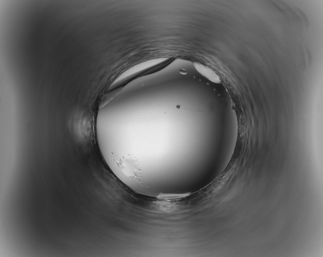 X0000096220425200801181454