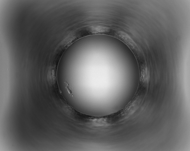 X0000096220426200801181454