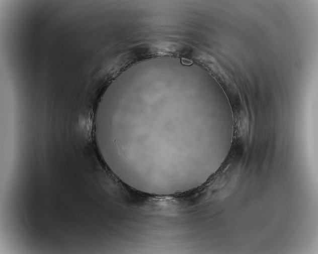 X0000096220427200801181454