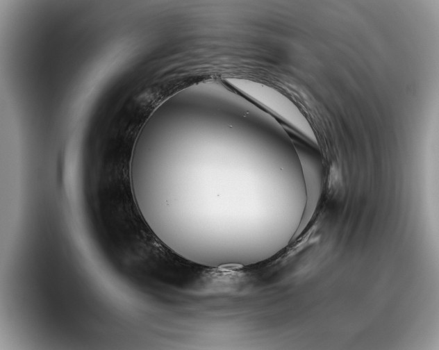 X0000096220429200801181454