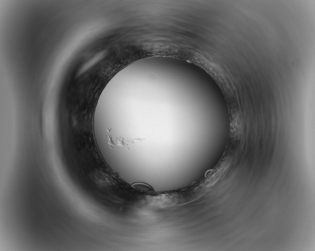 X0000096220430200801181454