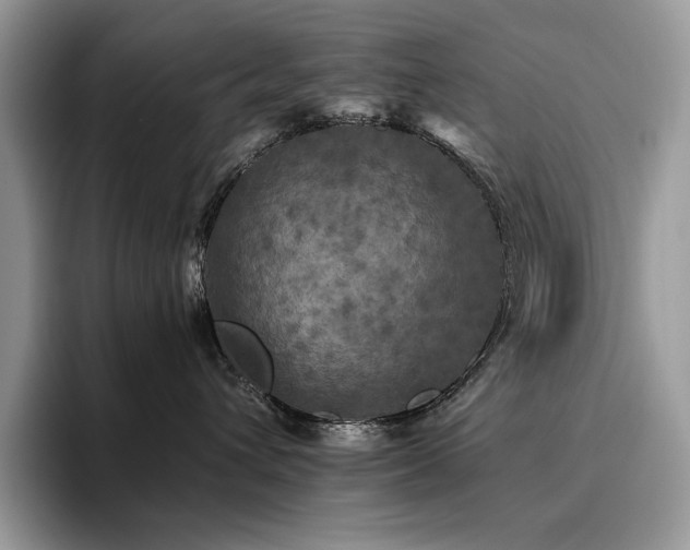 X0000096220432200801181454