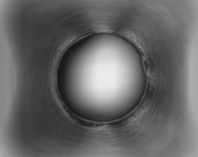 X0000096220433200801181454