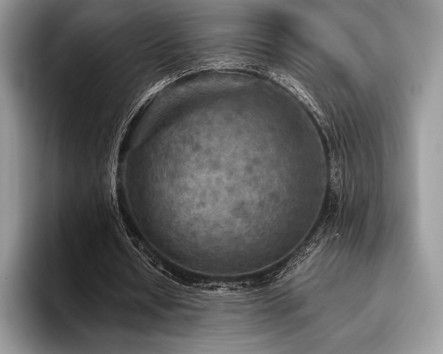 X0000096220434200801181454