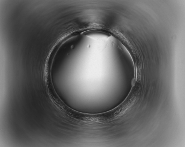 X0000096220435200801181454