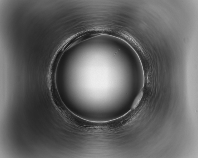 X0000096220436200801181454