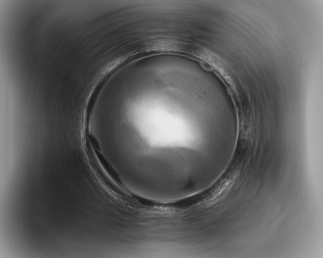 X0000096220437200801181454
