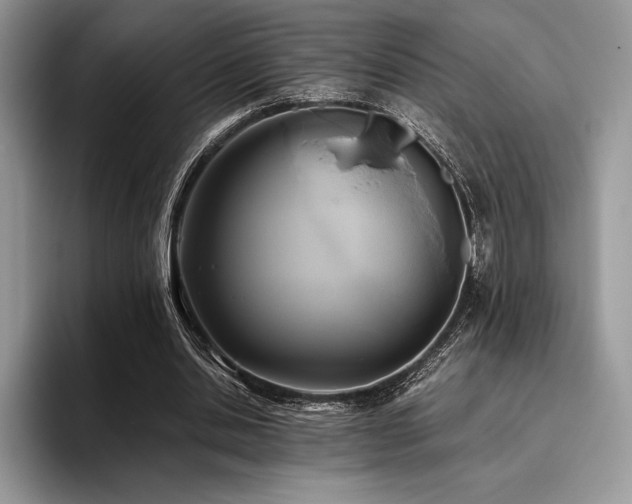 X0000096220438200801181454