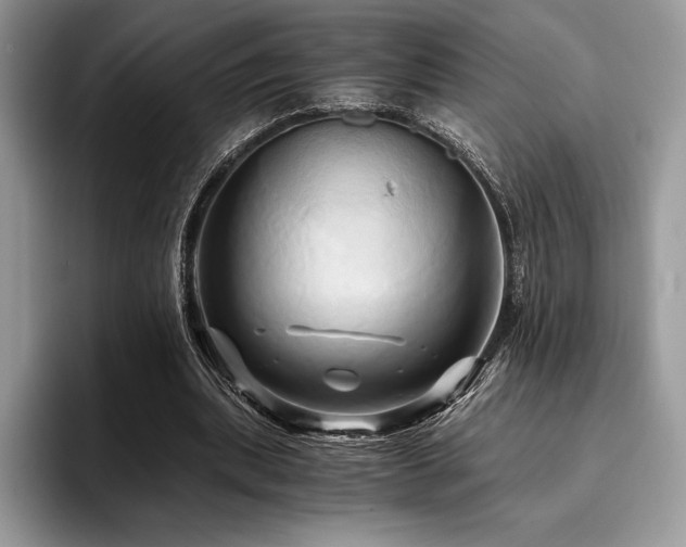 X0000096220439200801181454