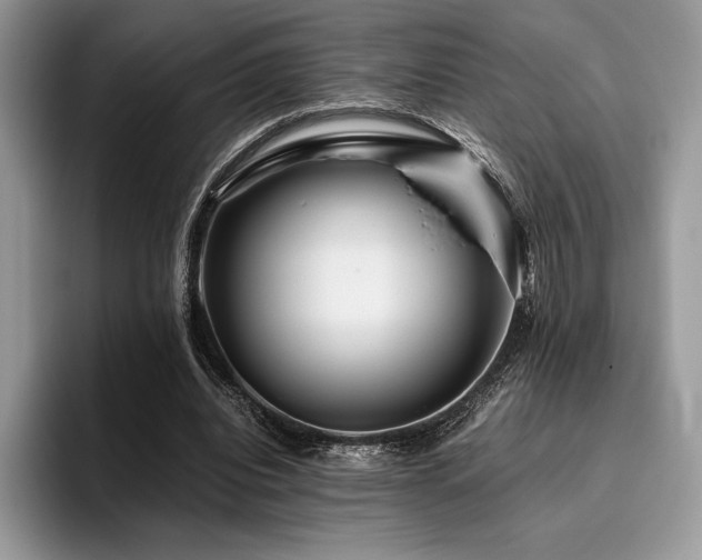 X0000096220440200801181454