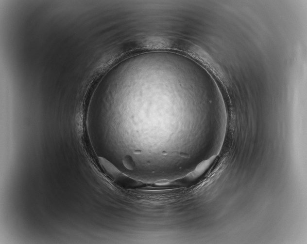 X0000096220441200801181454