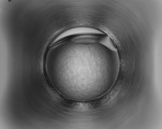 X0000096220442200801181454