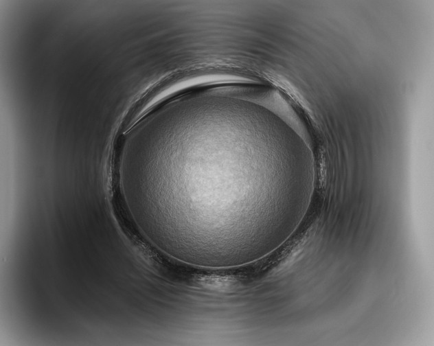 X0000096220444200801181454
