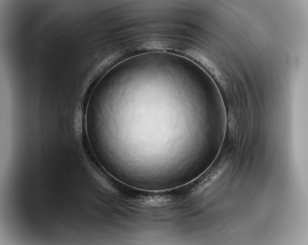 X0000096220445200801181454