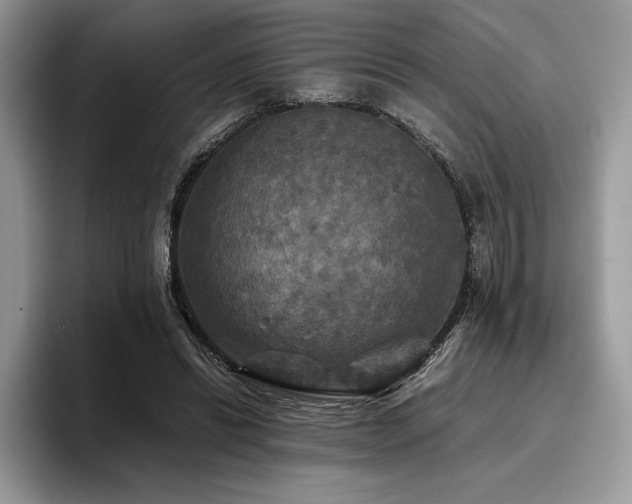 X0000096220446200801181454