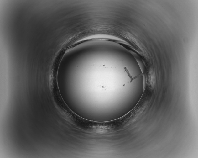 X0000096220448200801181454