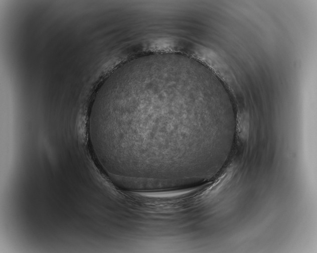 X0000096220449200801181454