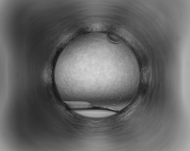 X0000096220450200801181454