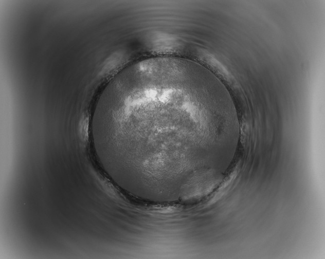 X0000096220454200801181454